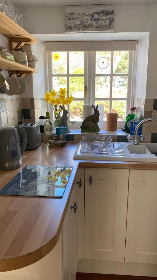 Cosy Nook Thatched With Exmoor Views Holiday home North Molton