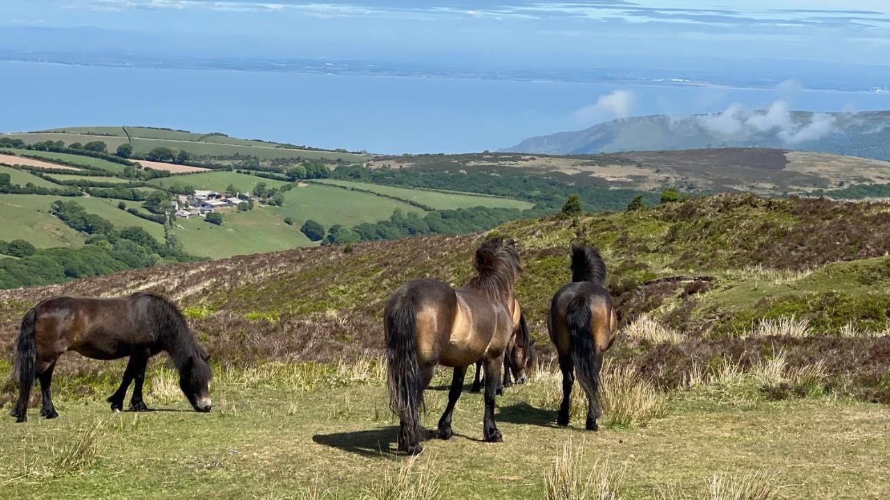 Holiday home Cosy Nook Thatched With Exmoor Views North Molton