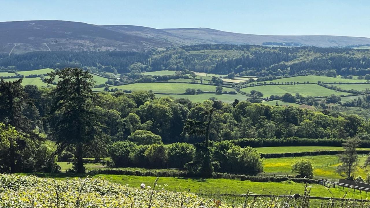 Cosy Nook Thatched With Exmoor Views Holiday home *