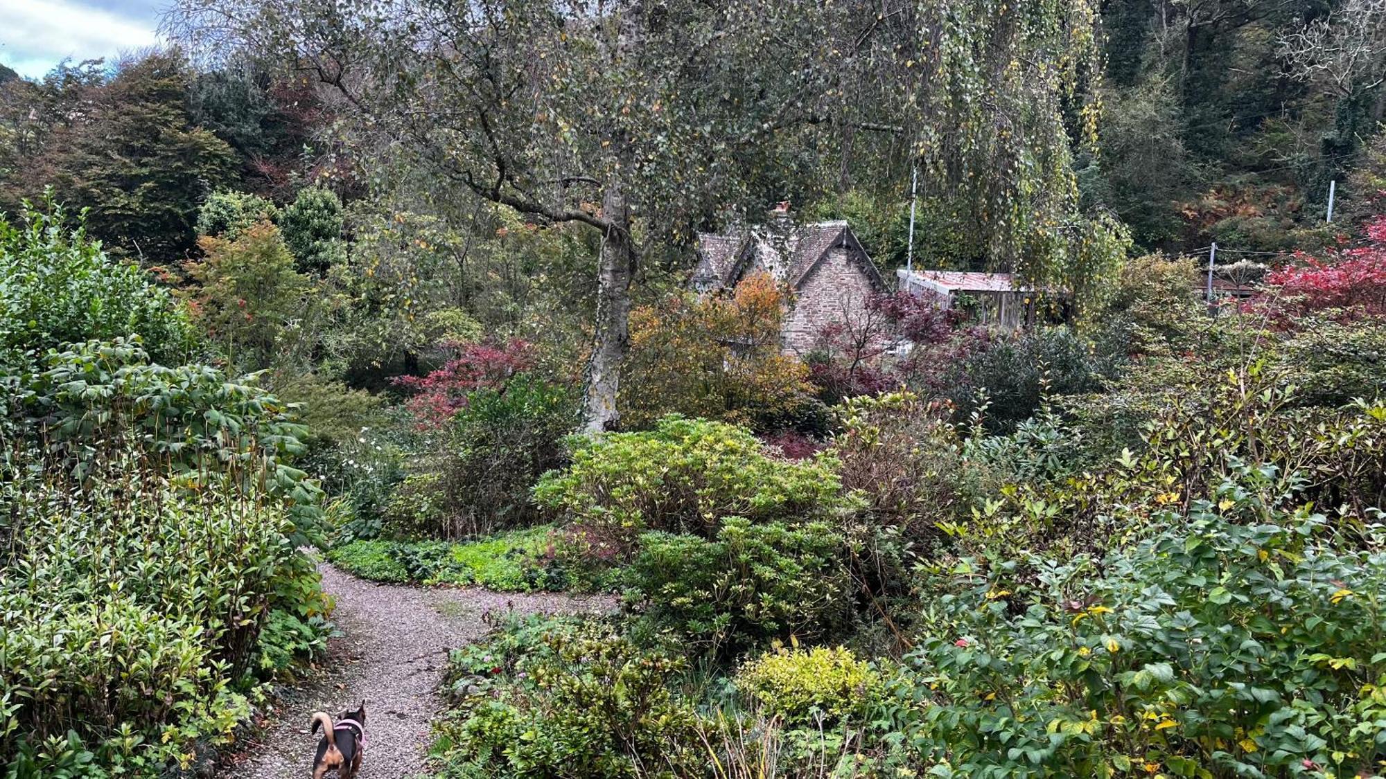 Cosy Nook Thatched With Exmoor Views *